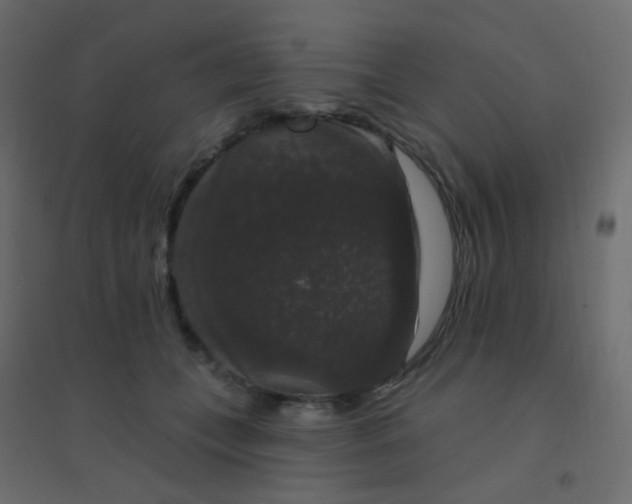 X0000094940559200712131602