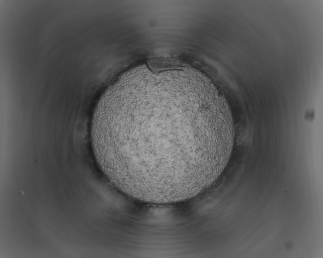 X0000094940560200712131602