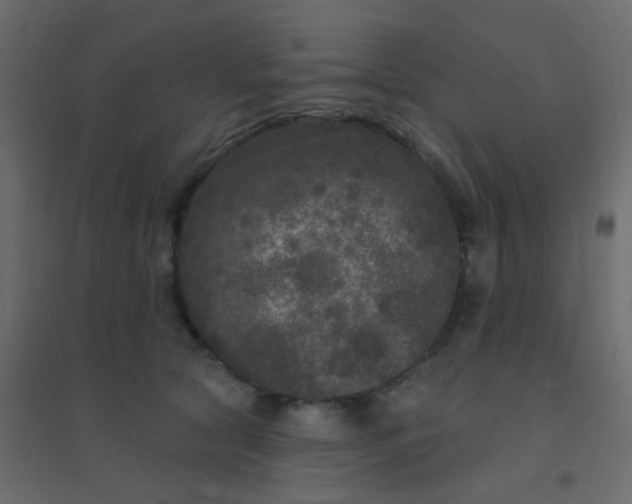 X0000094940561200712131602