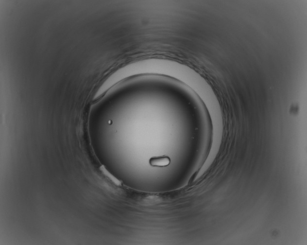 X0000094940562200712131602