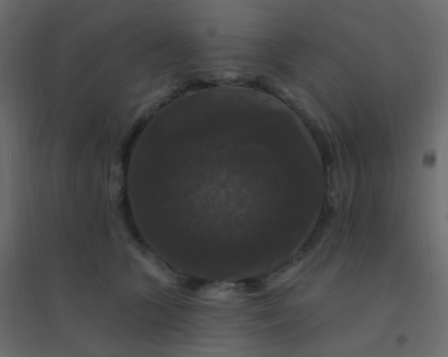 X0000094940563200712131602