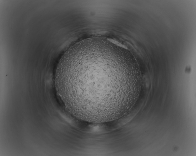 X0000094940564200712131602