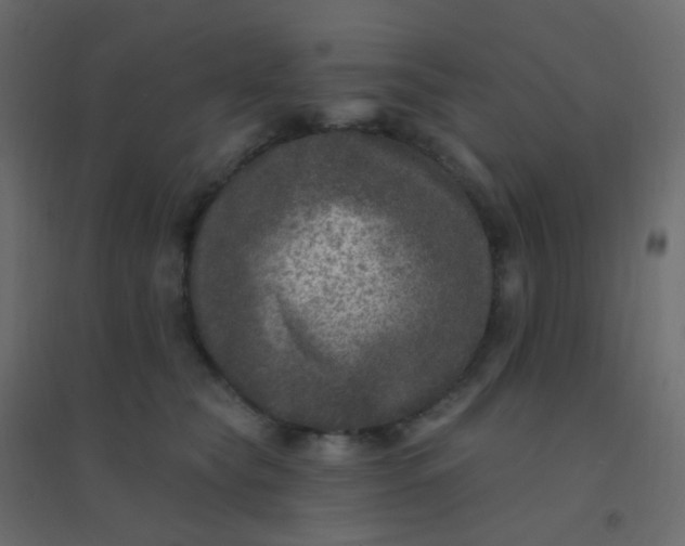 X0000094940565200712131602