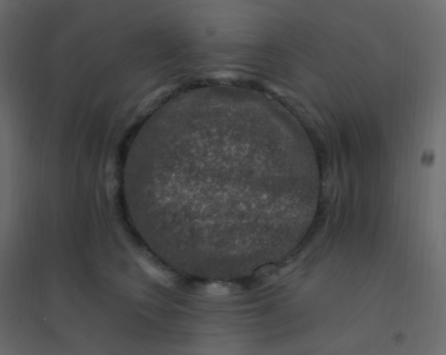 X0000094940566200712131602