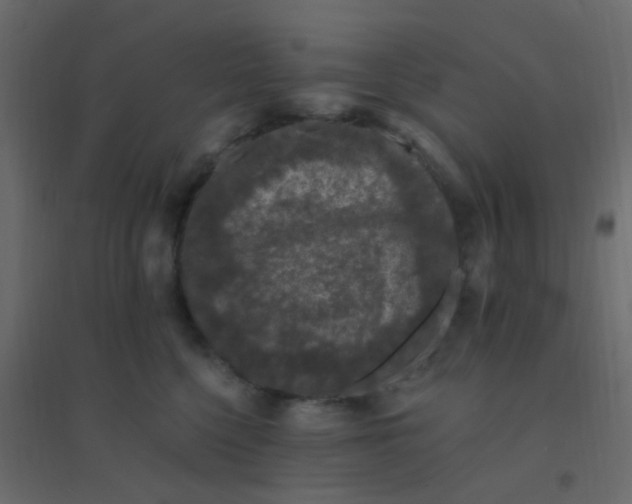 X0000094940568200712131602