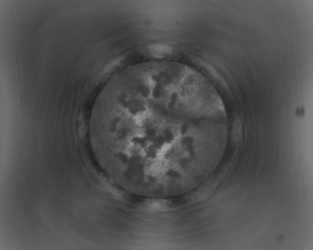 X0000094940569200712131602