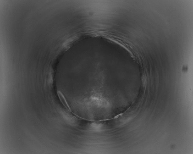 X0000094940570200712131602