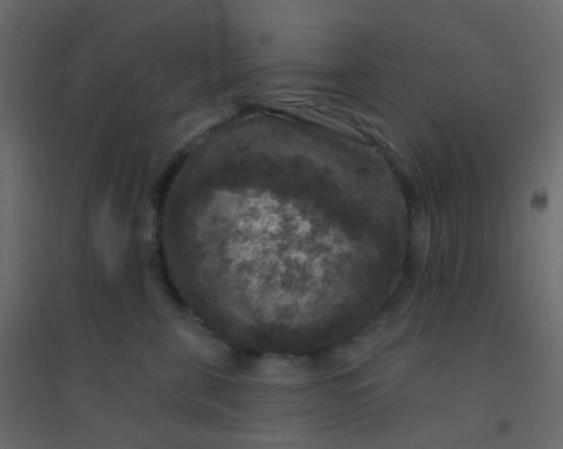 X0000094940571200712131602