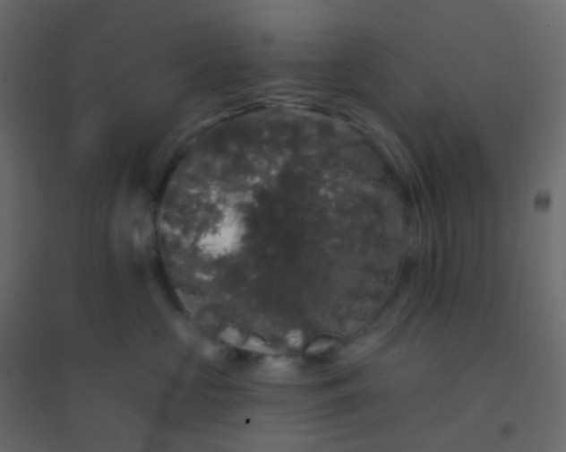 X0000094940573200712131603