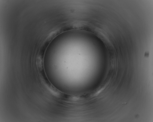 X0000094940575200712131603