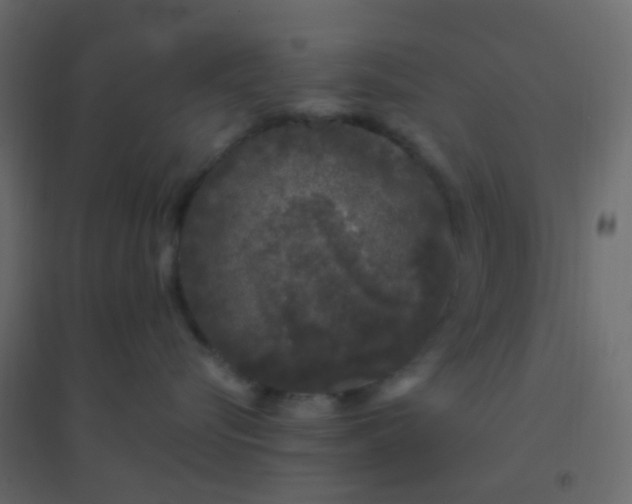 X0000094940576200712131603