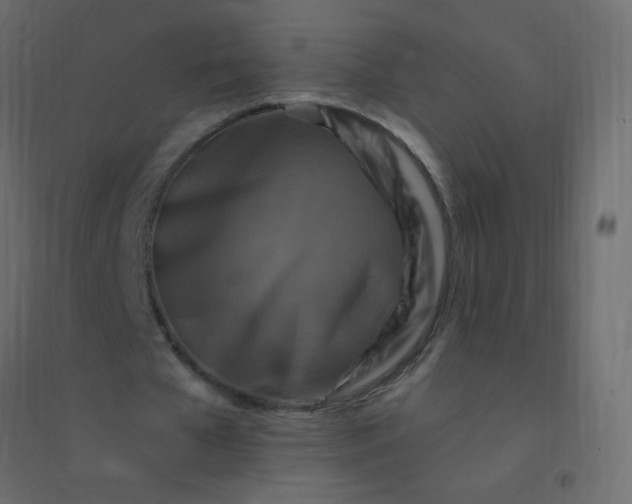 X0000094940577200712131602