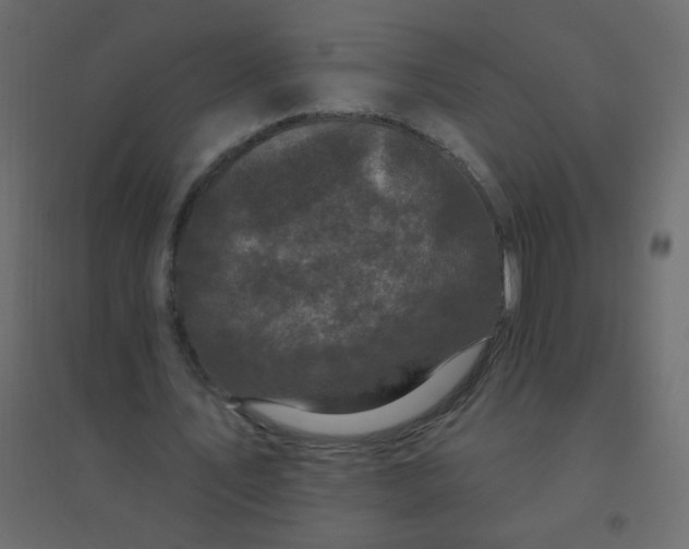 X0000094940579200712131602