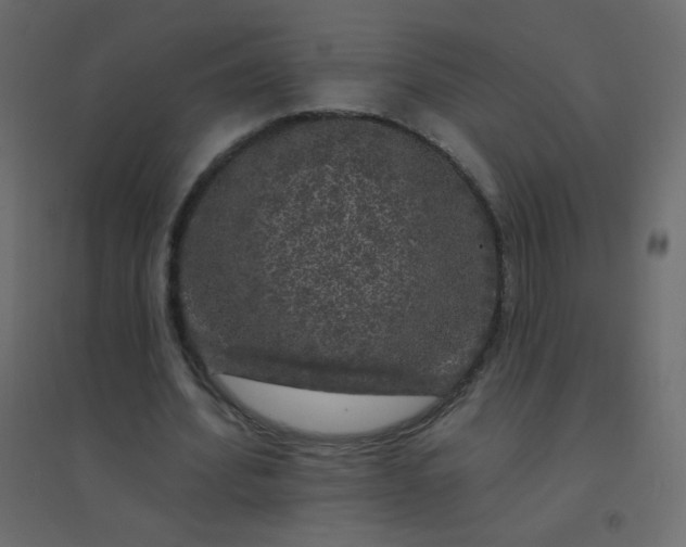 X0000094940580200712131602