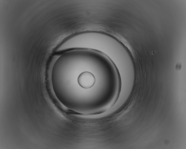 X0000094940581200712131602