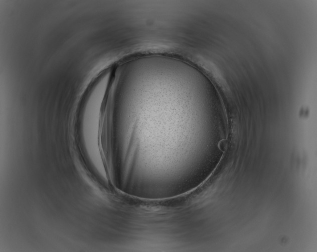 X0000094940582200712131602