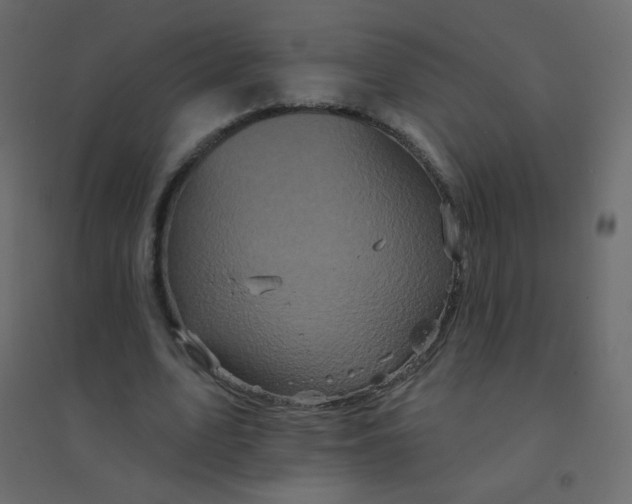 X0000094940583200712131602