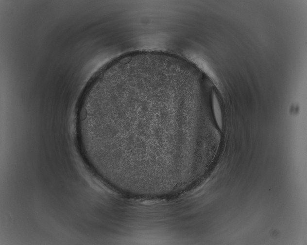 X0000094940584200712131602