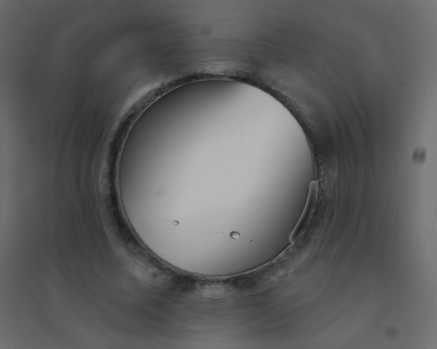 X0000094940587200712131602