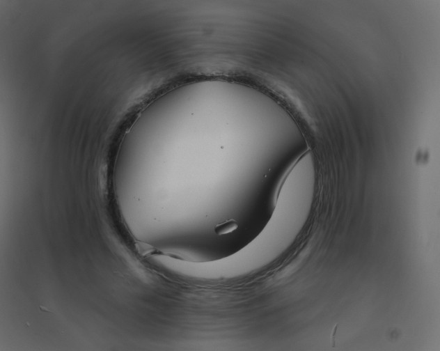 X0000094940589200712131602