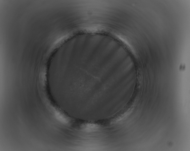 X0000094940590200712131602