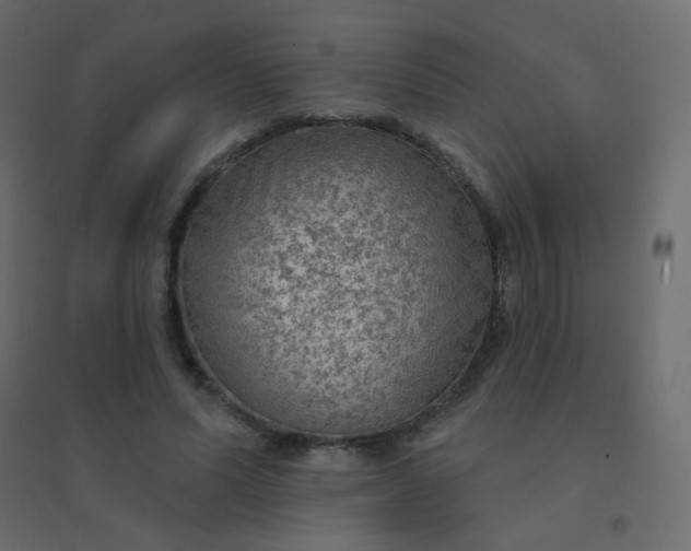 X0000094940591200712131602