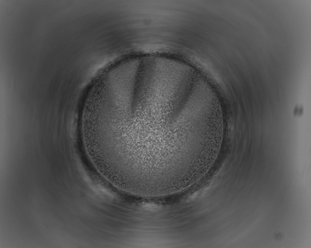 X0000094940592200712131602