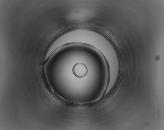 X0000094940593200712131602