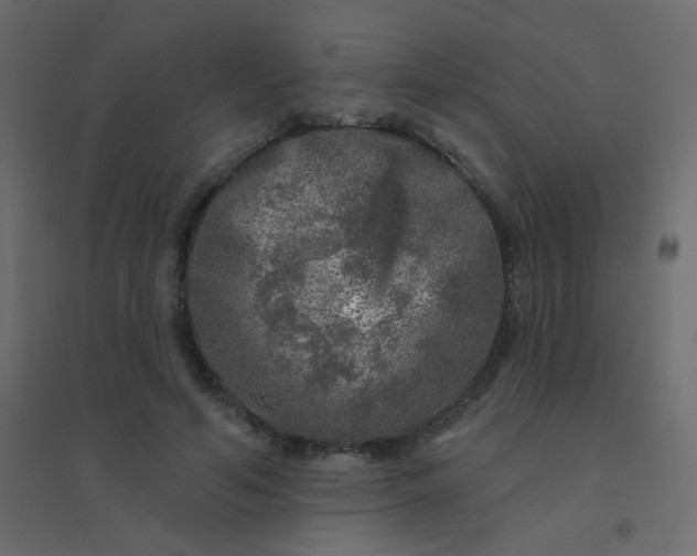 X0000094940594200712131602