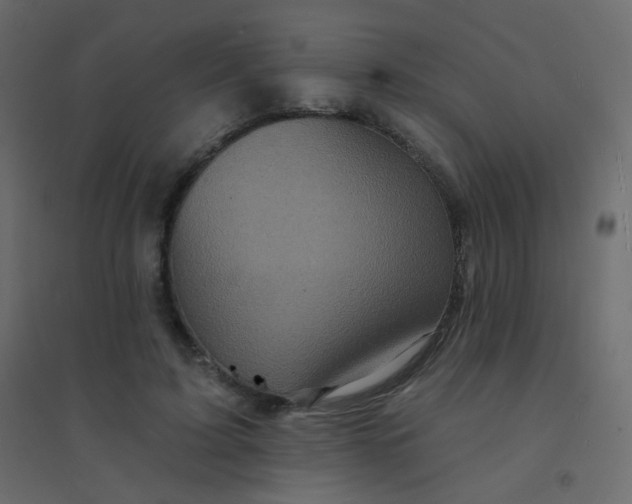 X0000094940595200712131602