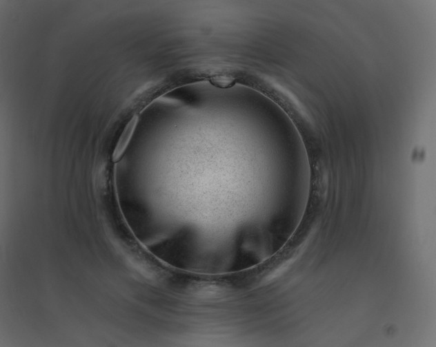 X0000094940597200712131602