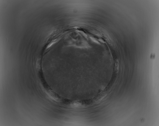 X0000094940598200712131602