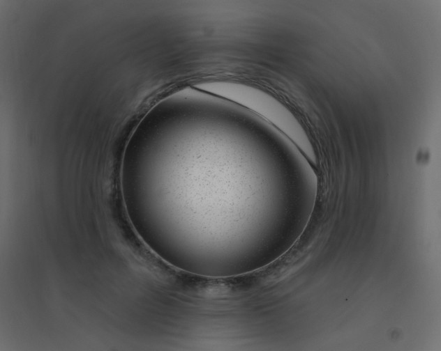 X0000094940600200712131602