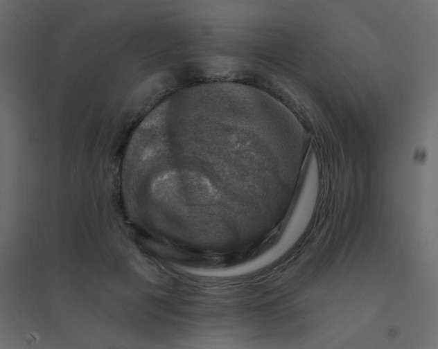 X0000094940601200712131602