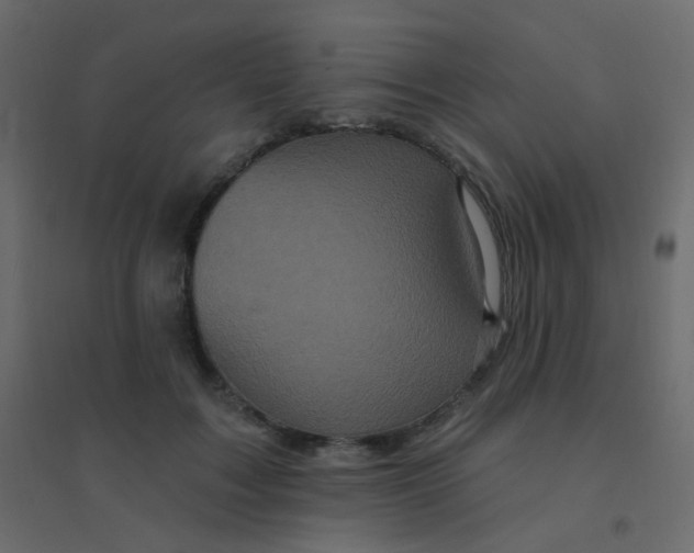 X0000094940603200712131602