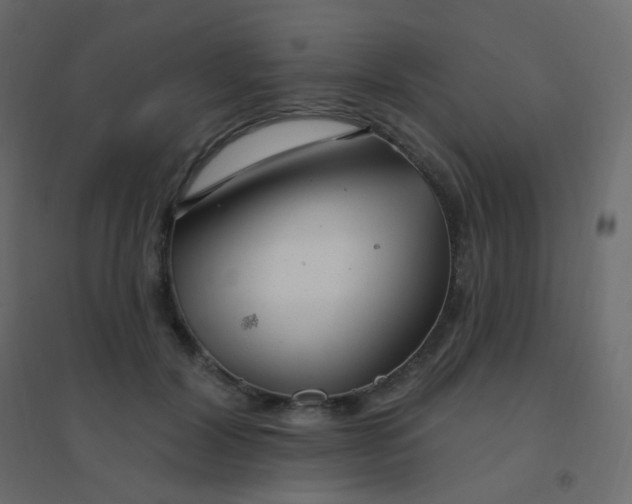 X0000094940604200712131602