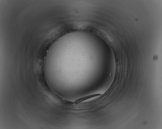 X0000094940605200712131602