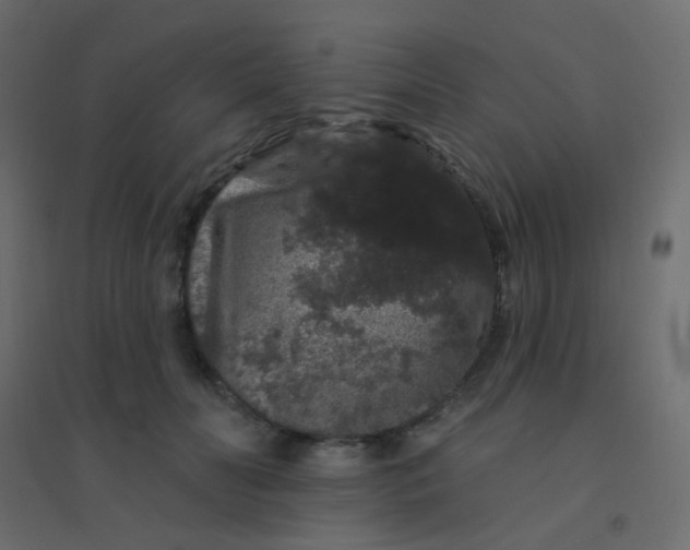 X0000094940606200712131602