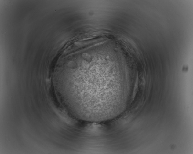 X0000094940607200712131601