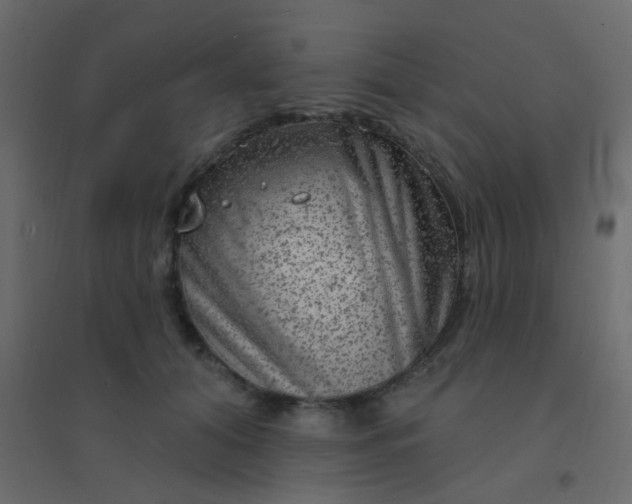 X0000094940608200712131601