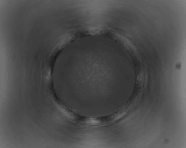 X0000094940610200712131601