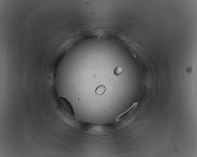 X0000094940611200712131601