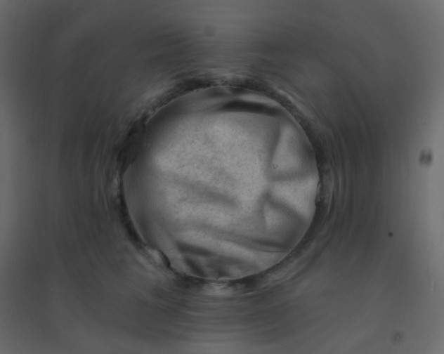 X0000094940613200712131601