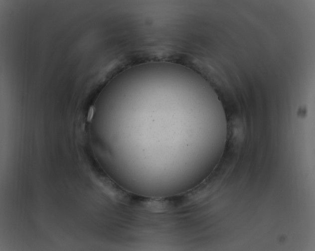 X0000094940615200712131601