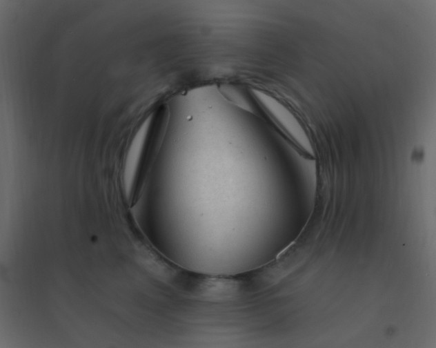 X0000094940617200712131601