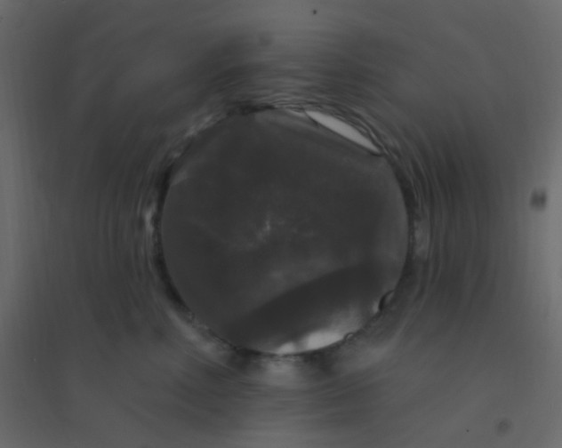 X0000094940618200712131601