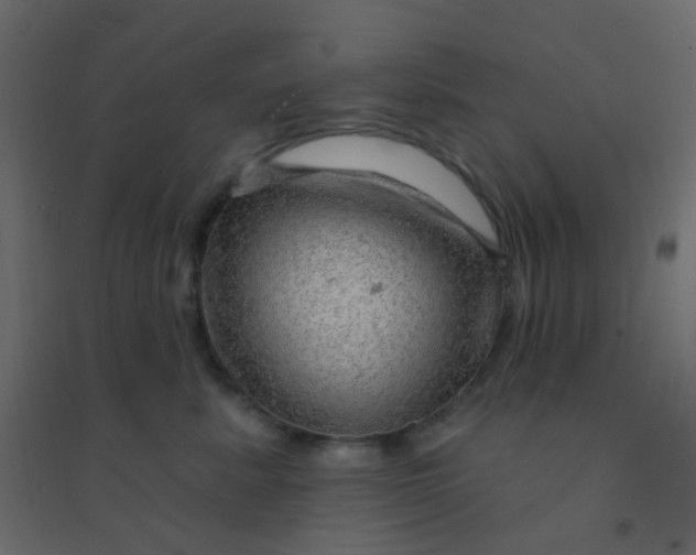 X0000094940619200712131601