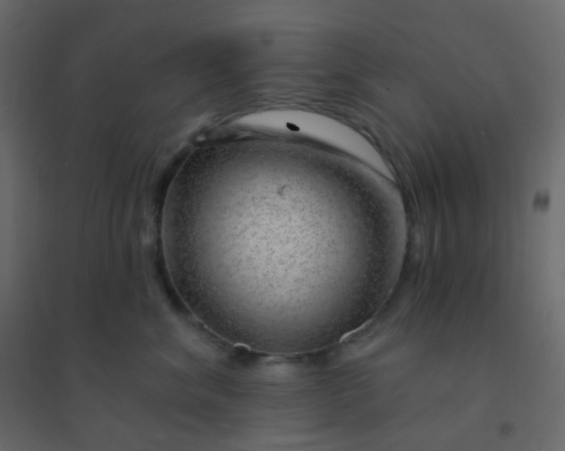 X0000094940620200712131601