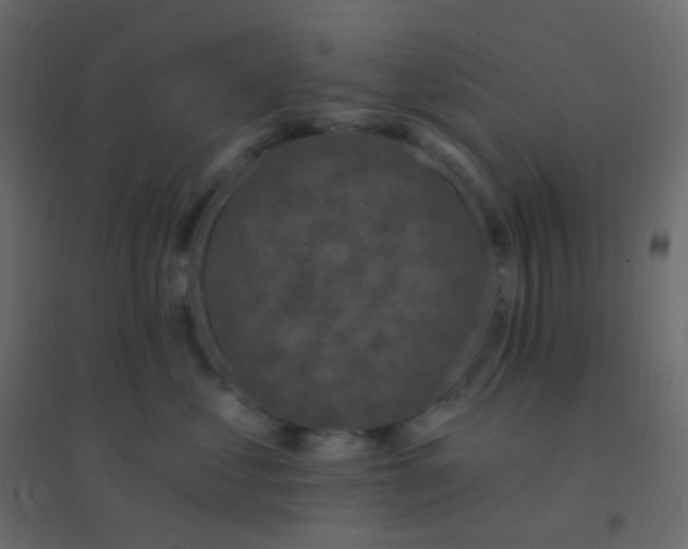 X0000094940621200712131601