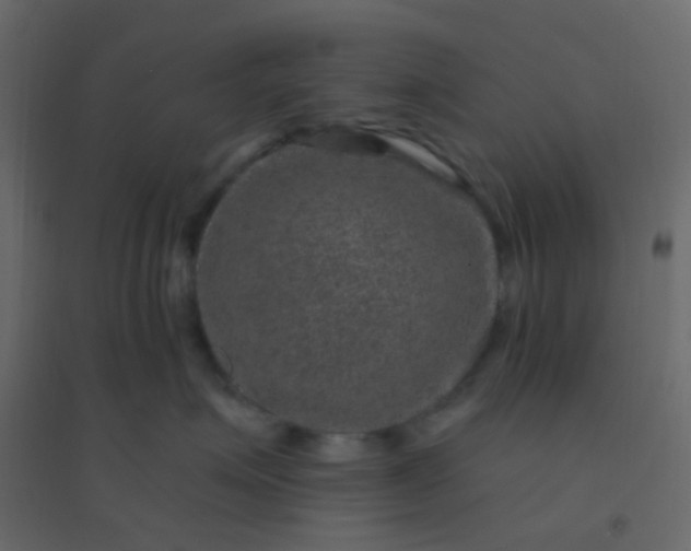 X0000094940623200712131601